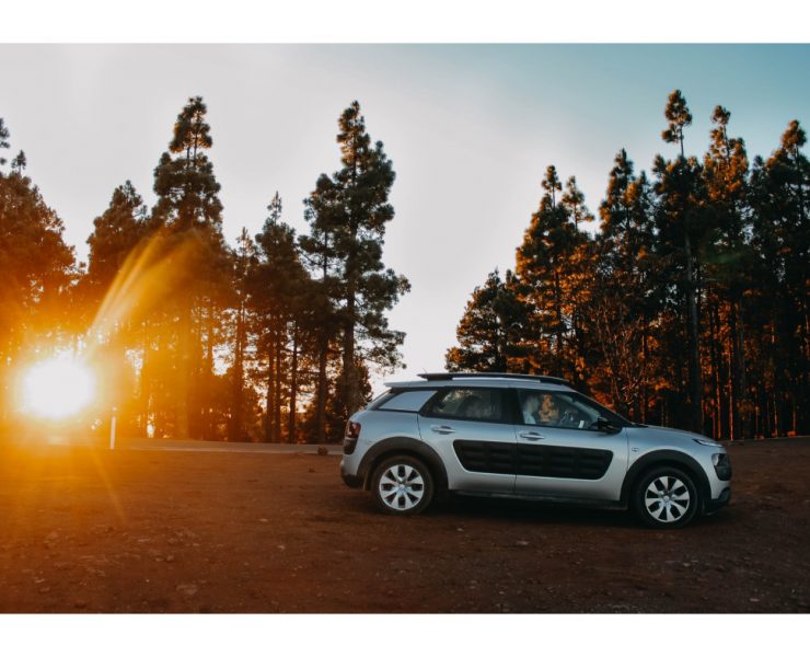 Everything You Should Know about SUV