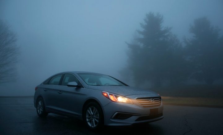 Our 8 Favorite Hybrids for 2021