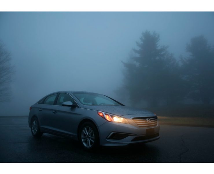 Our 8 Favorite Hybrids for 2021